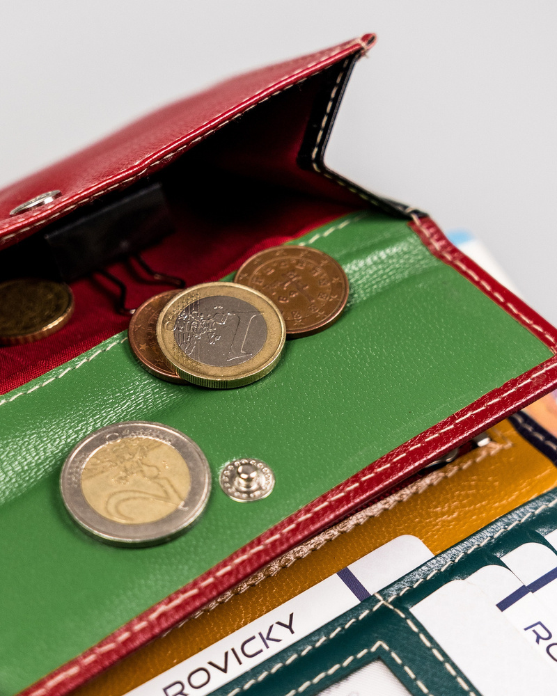 Skórzany portfel damski zamykany na zatrzask - Rovicky - obrazek 9