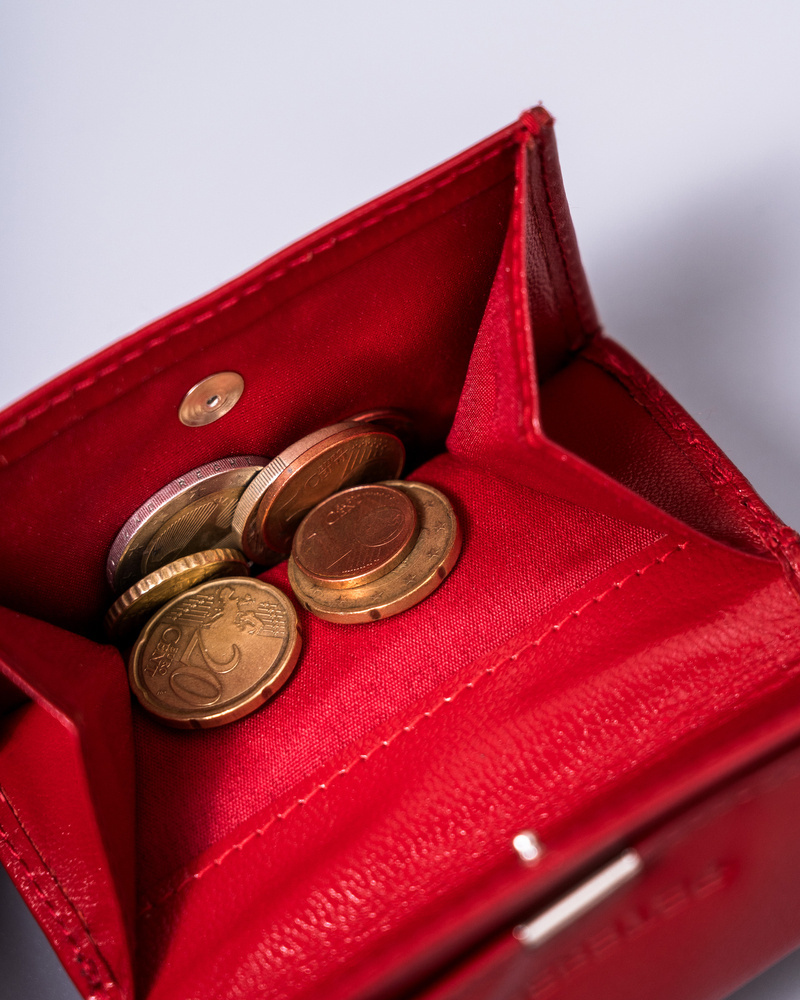 Mały portfel damski na gotówkę - Peterson - obrazek 8