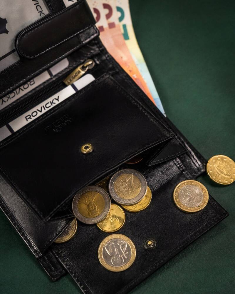 Duży, skórzany portfel męski z systemem RFID - Rovicky - obrazek 10