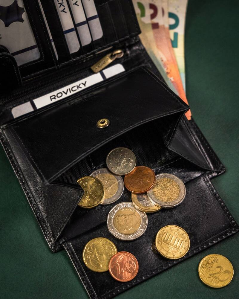 Skórzany, duży portfel męski z systemem RFID - Rovicky - obrazek 11