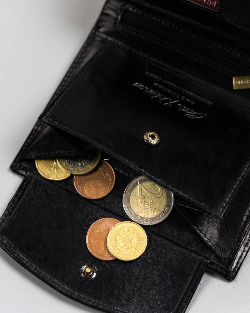 Duży portfel męski bez zapięcia - Peterson - obrazek 10