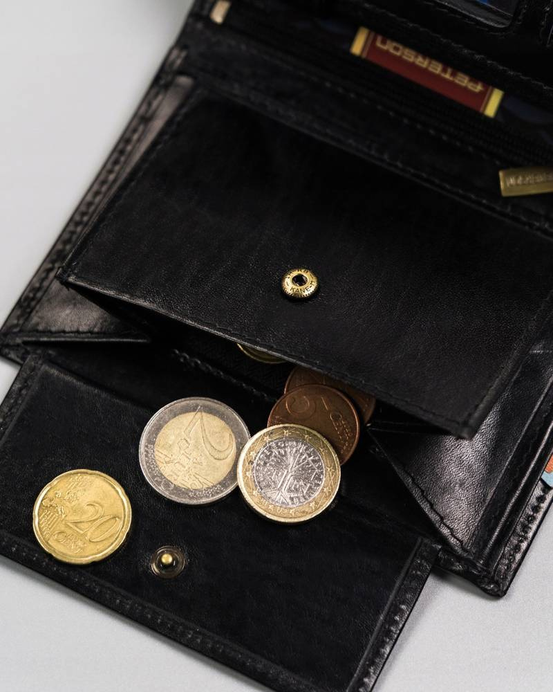 Duży portfel męski bez zapięcia - Peterson - obrazek 10