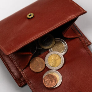 Średnich rozmiarów, skórzany portfel damski - Peterson