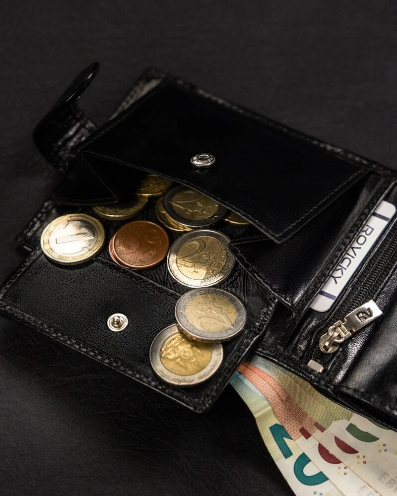 Duży, męski portfel ze skóry naturalnej - Rovicky - obrazek 9