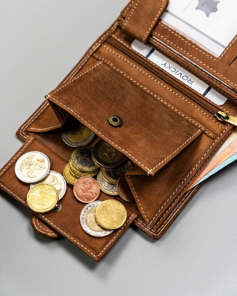 Duży, pionowy portfel męski ze skóry naturalnej - Always Wild - obrazek 9