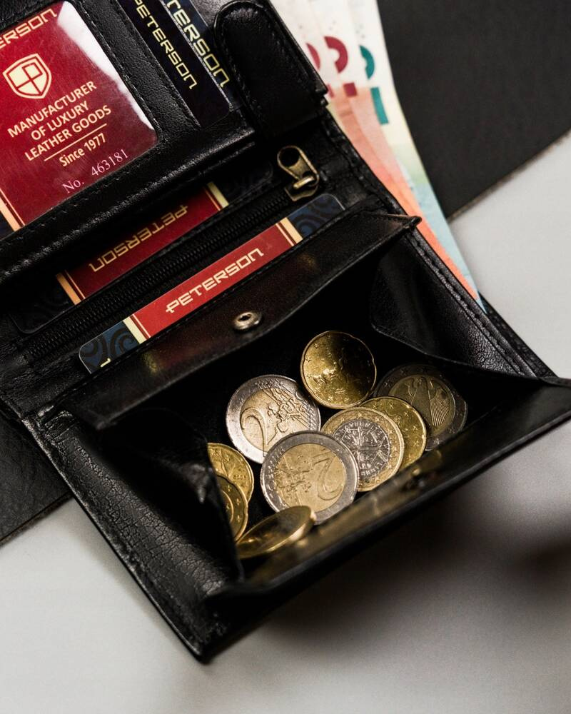Klasyczny portfel męski bez zapięcia zewnętrznego - Peterson - obrazek 10